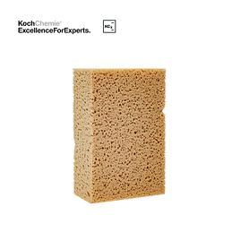 KCx Svampur - Mjúkur / Stór